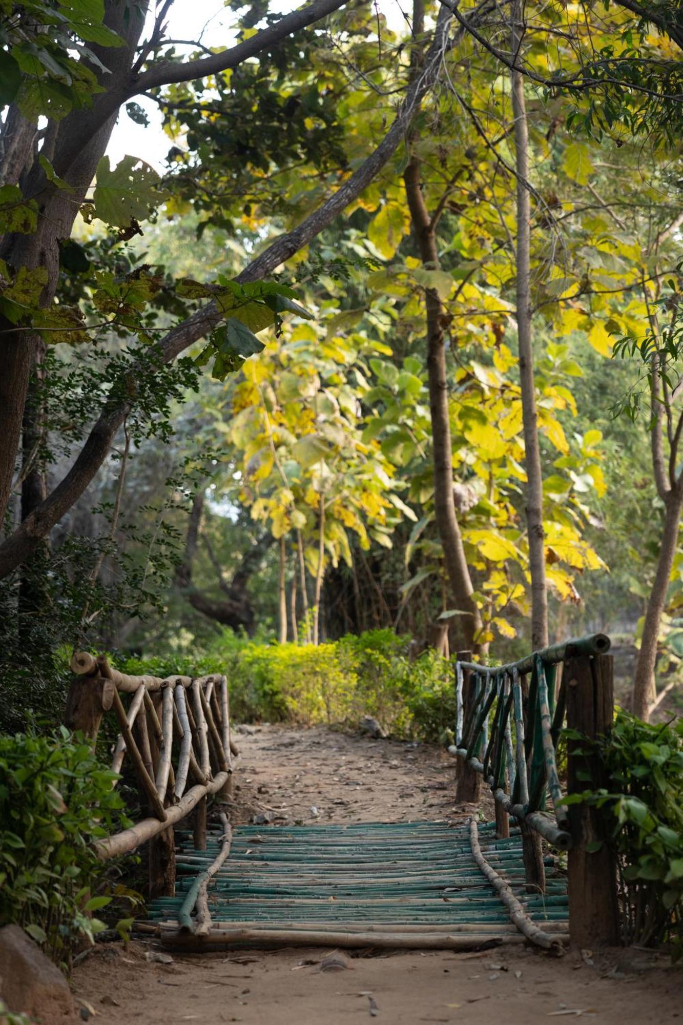 Tiger Trails Resort Tala  Bagian luar foto