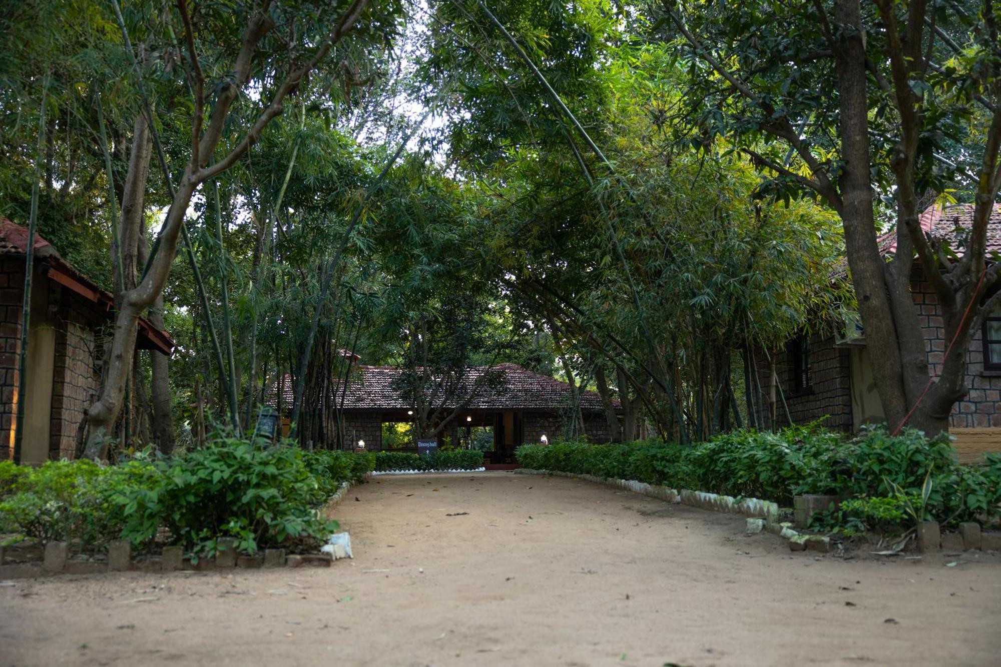 Tiger Trails Resort Tala  Bagian luar foto