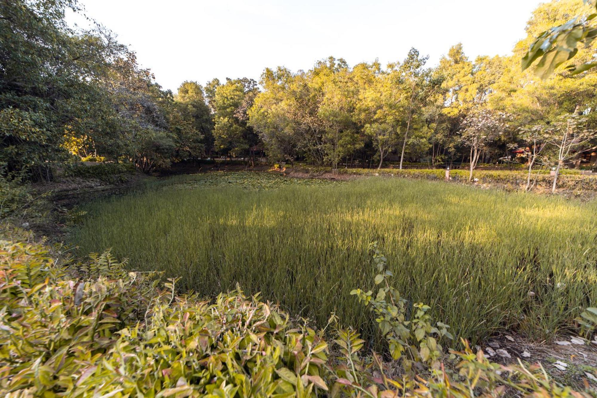Tiger Trails Resort Tala  Bagian luar foto
